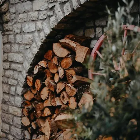 Apartment Obrava Kotroni Trikalon Kotronion (Trikala)