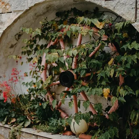 Obrava Kotroni Trikalon * Kotronion (Trikala)
